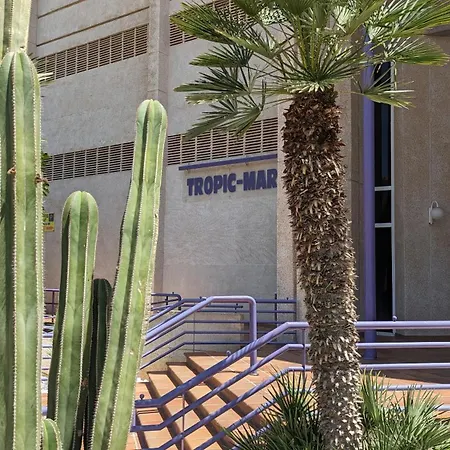 Tropic Mar Sweet Apartamento *